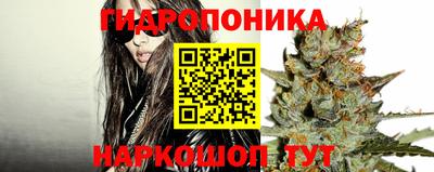 гашик Добрянка
