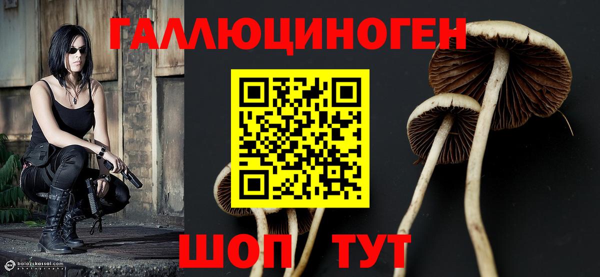 Псилоцибиновые грибы прущие грибы Белово