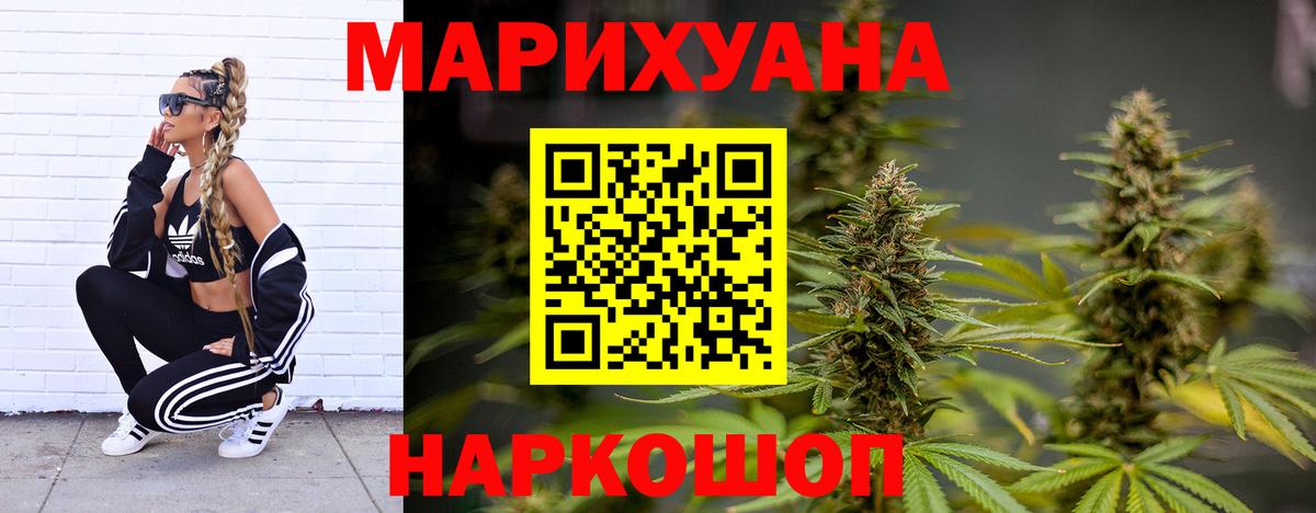 Каннабис OG Kush Белово